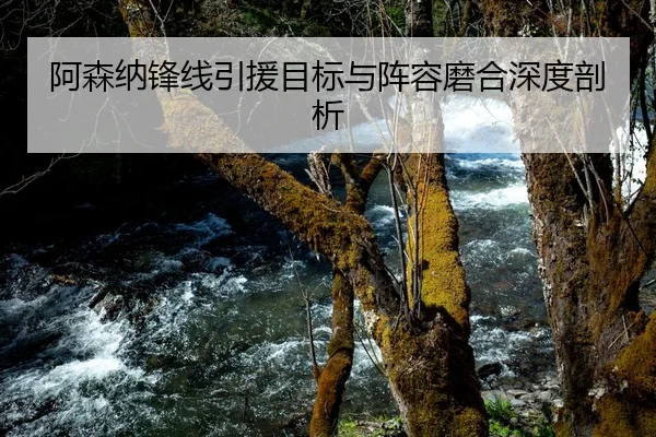 阿森纳锋线引援目标与阵容磨合深度剖析