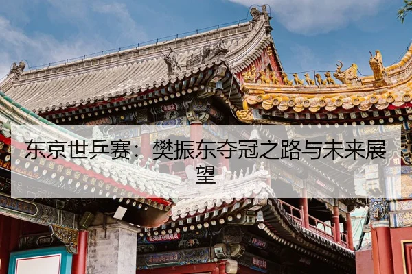 东京世乒赛：樊振东夺冠之路与未来展望